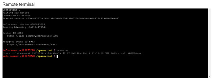 Remote terminal